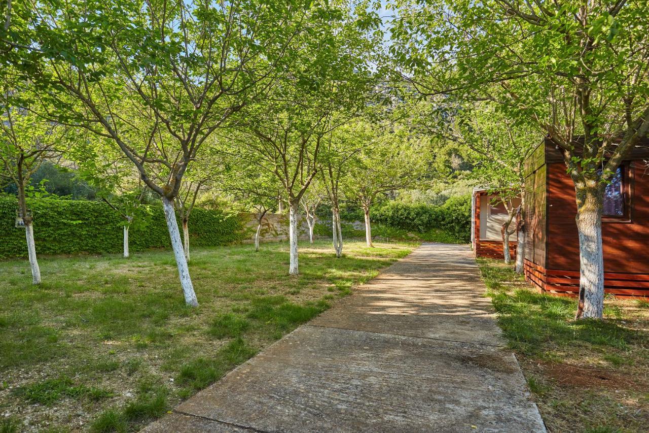 Mobile Homes Village "Mungos" Mljet Babino Polje 外观 照片